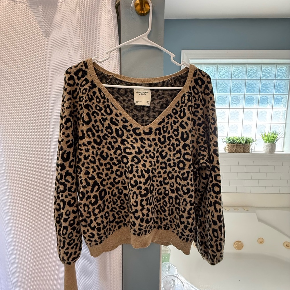 Abercrombie & Fitch Brown and Black V-Neck Sweater